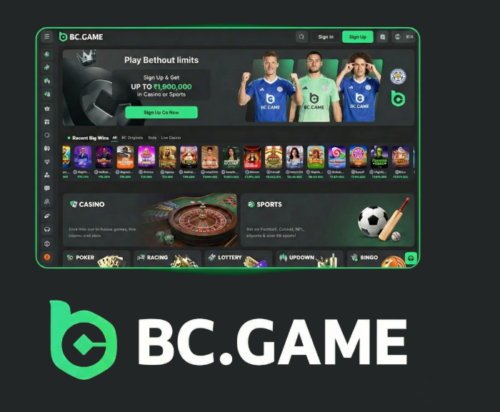 Exploring the JB Casino Platform A Premier Online Gaming Experience